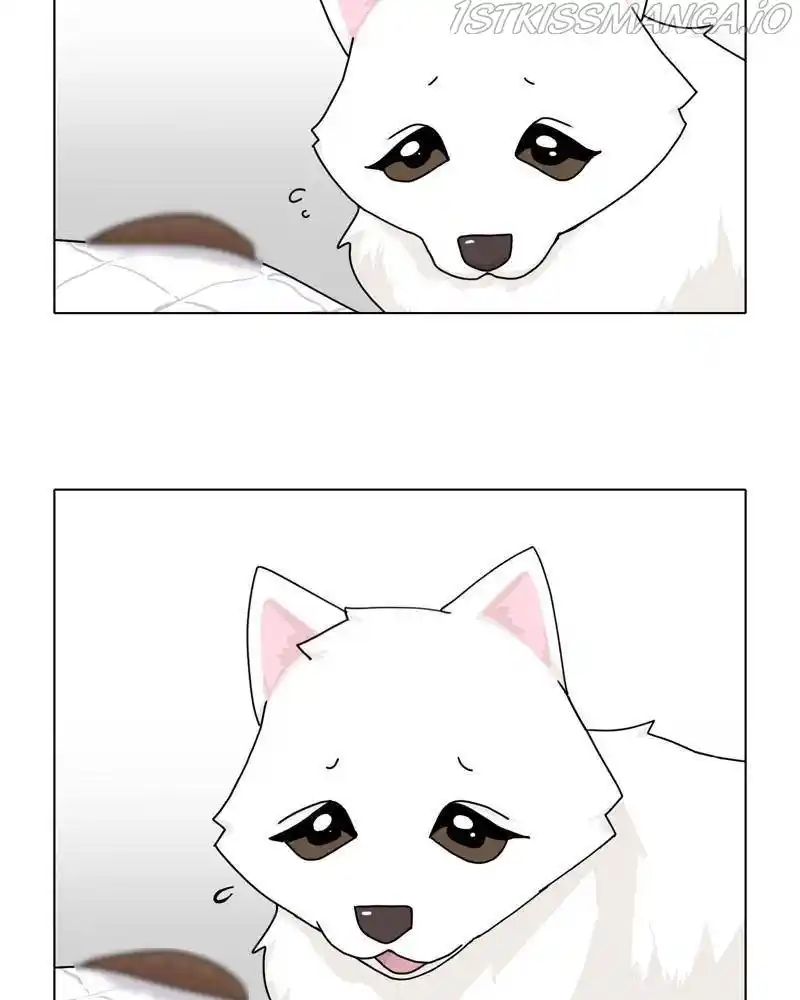 The Dog Diaries Chapter 46