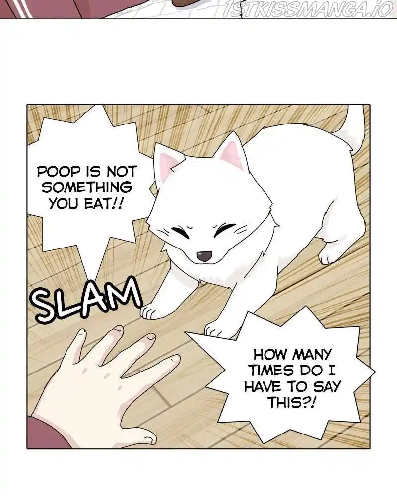 The Dog Diaries Chapter 46