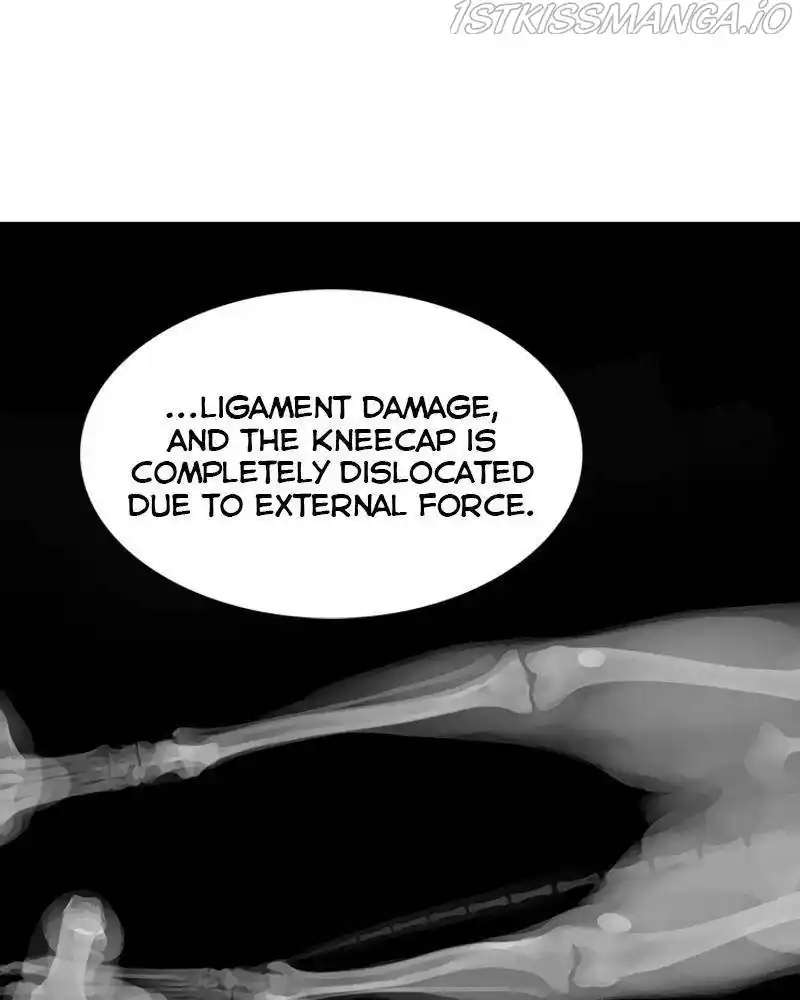 The Dog Diaries Chapter 46