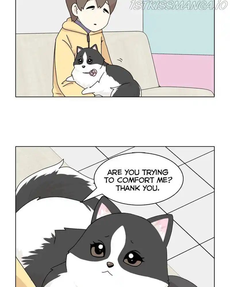 The Dog Diaries Chapter 46