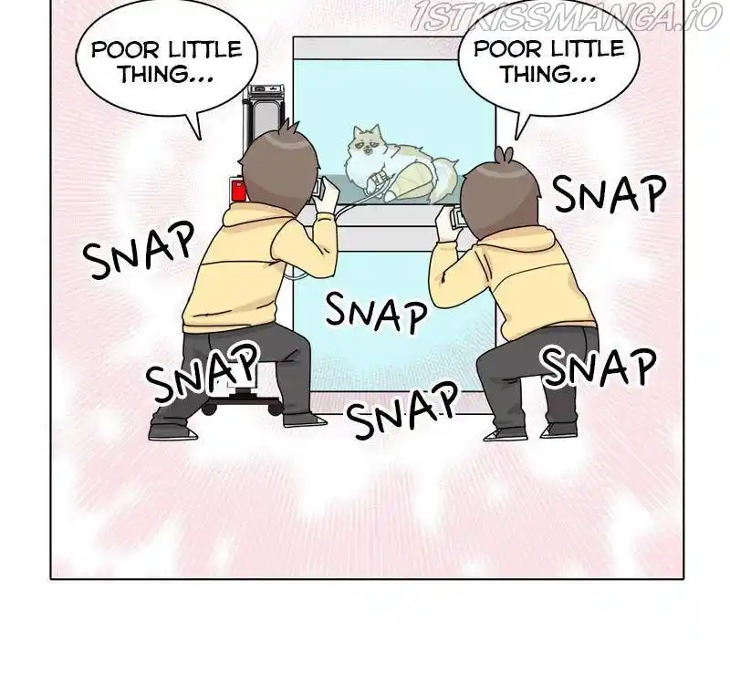 The Dog Diaries Chapter 46