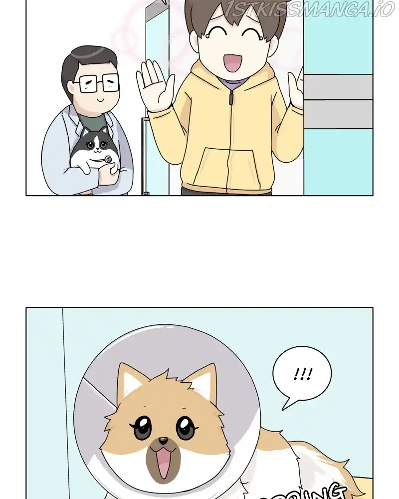 The Dog Diaries Chapter 47