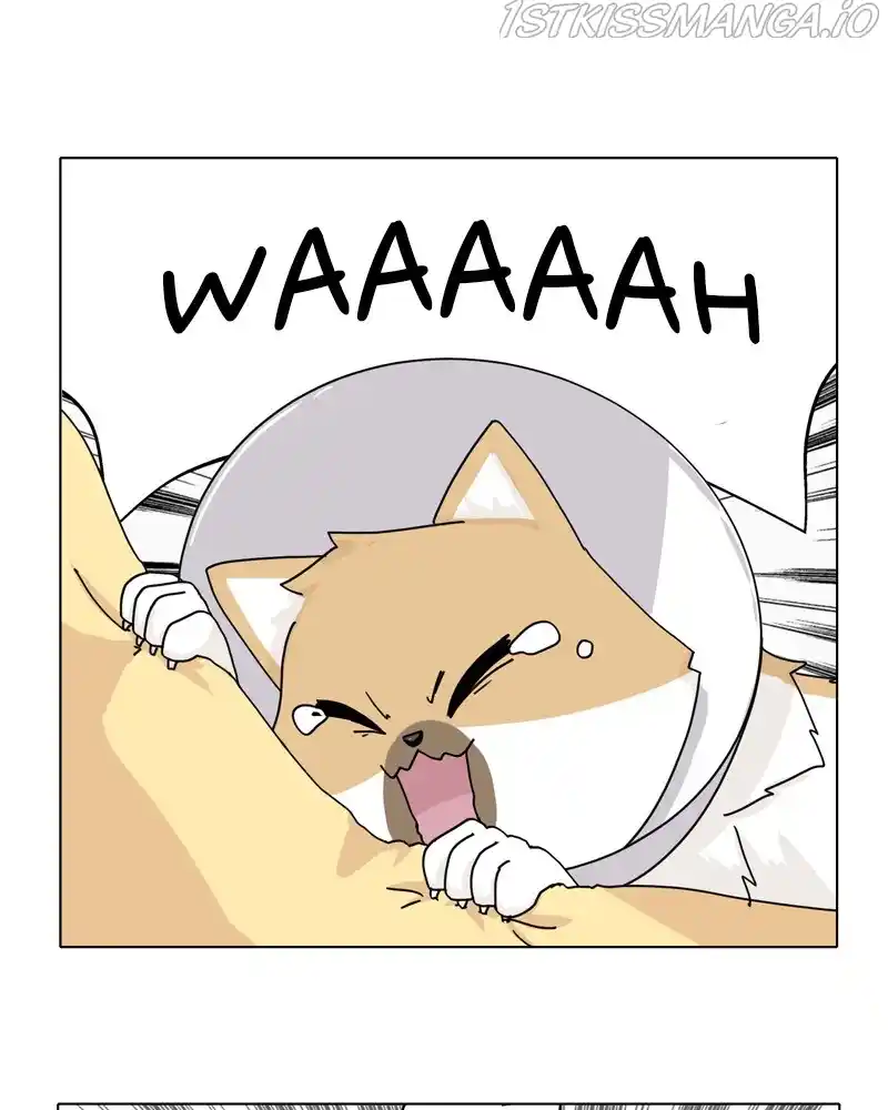 The Dog Diaries Chapter 47