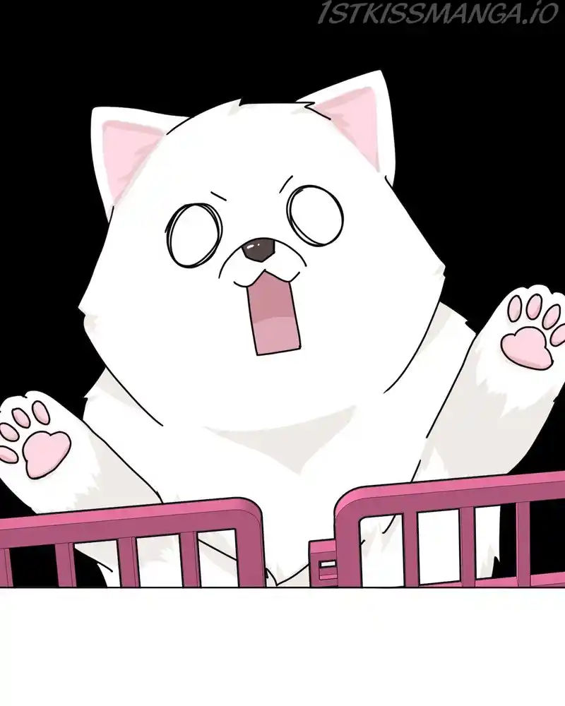 The Dog Diaries Chapter 47