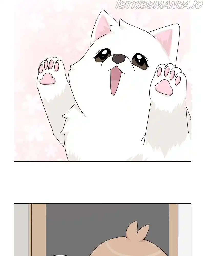 The Dog Diaries Chapter 47