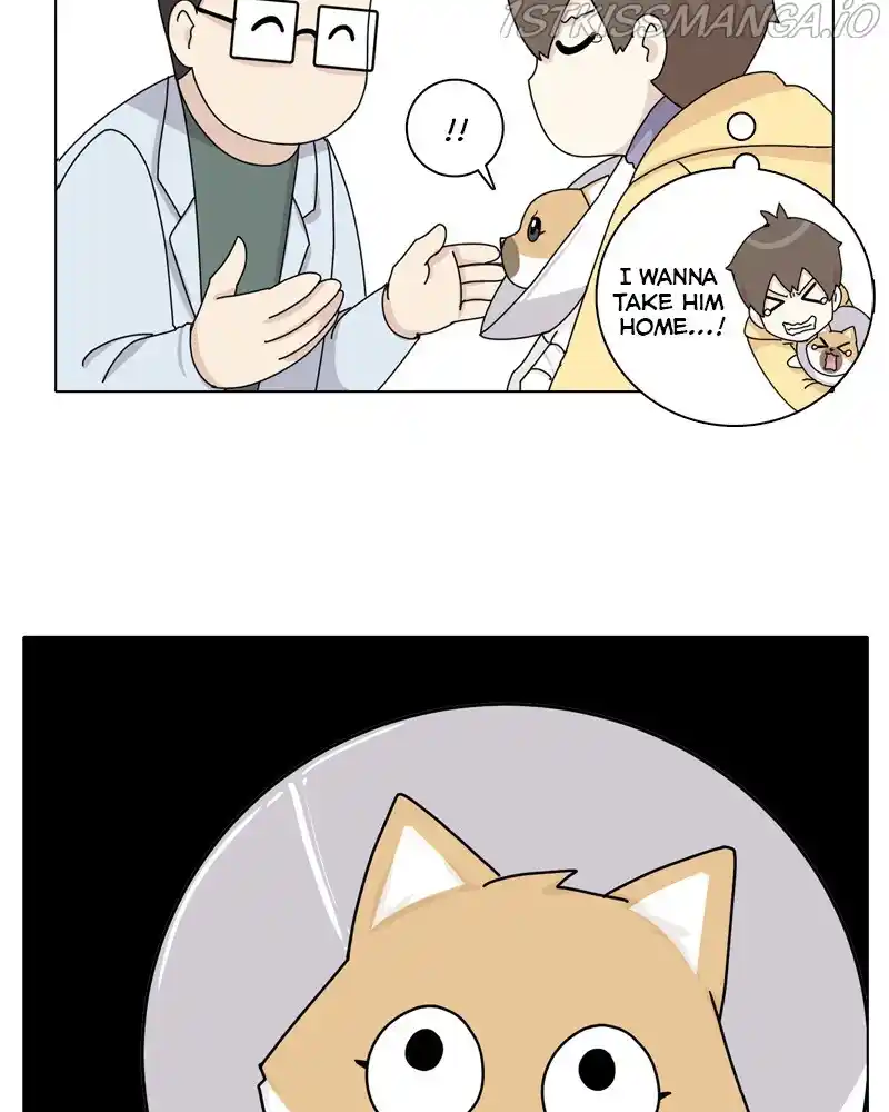 The Dog Diaries Chapter 48