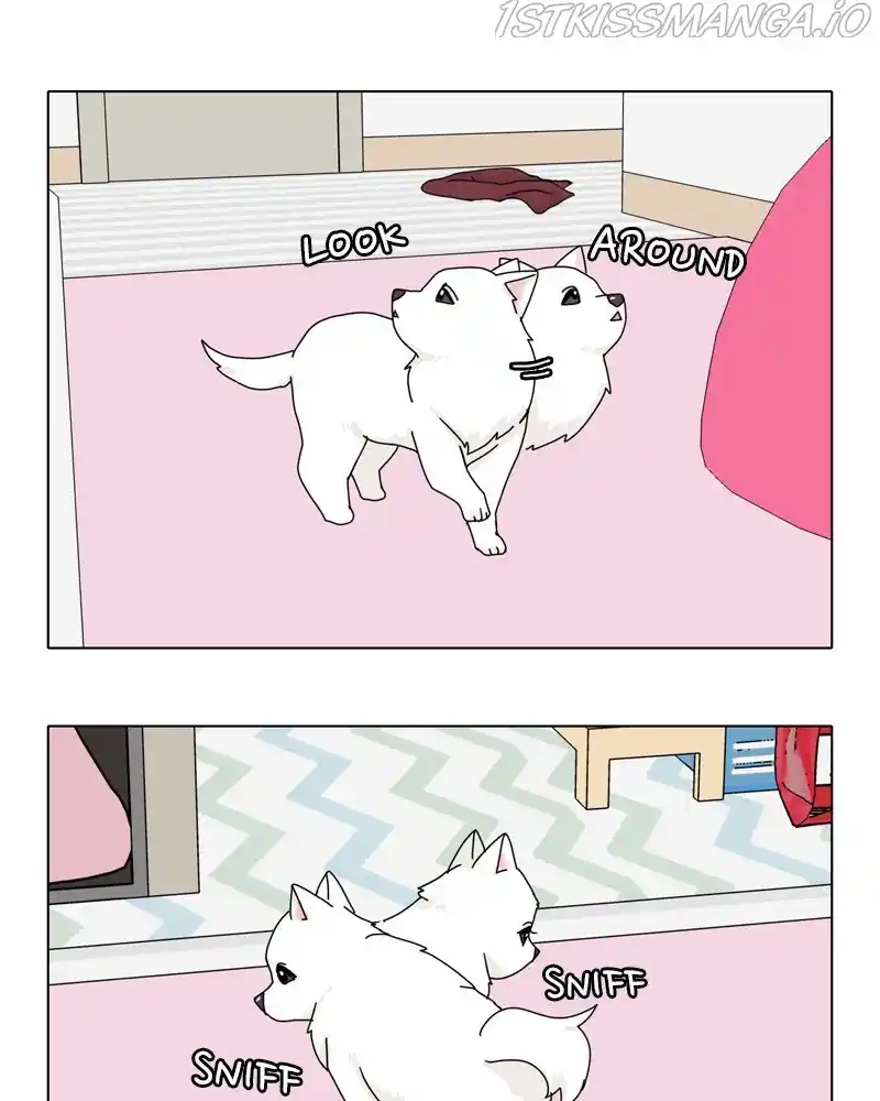 The Dog Diaries Chapter 48