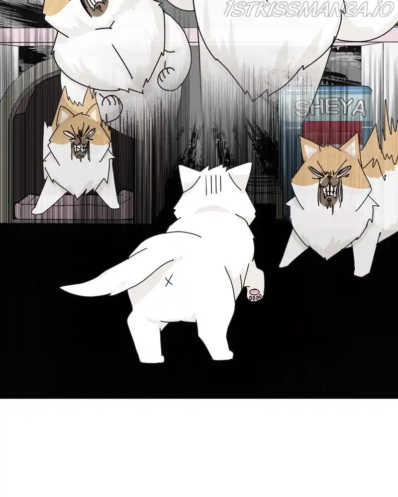 The Dog Diaries Chapter 48