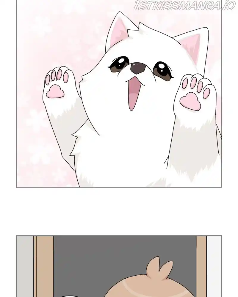 The Dog Diaries Chapter 48