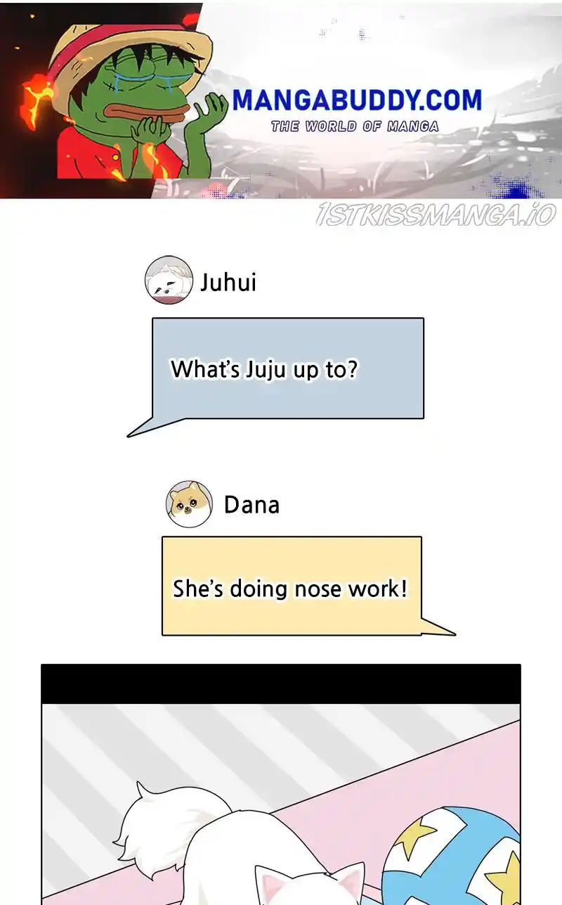 The Dog Diaries Chapter 49