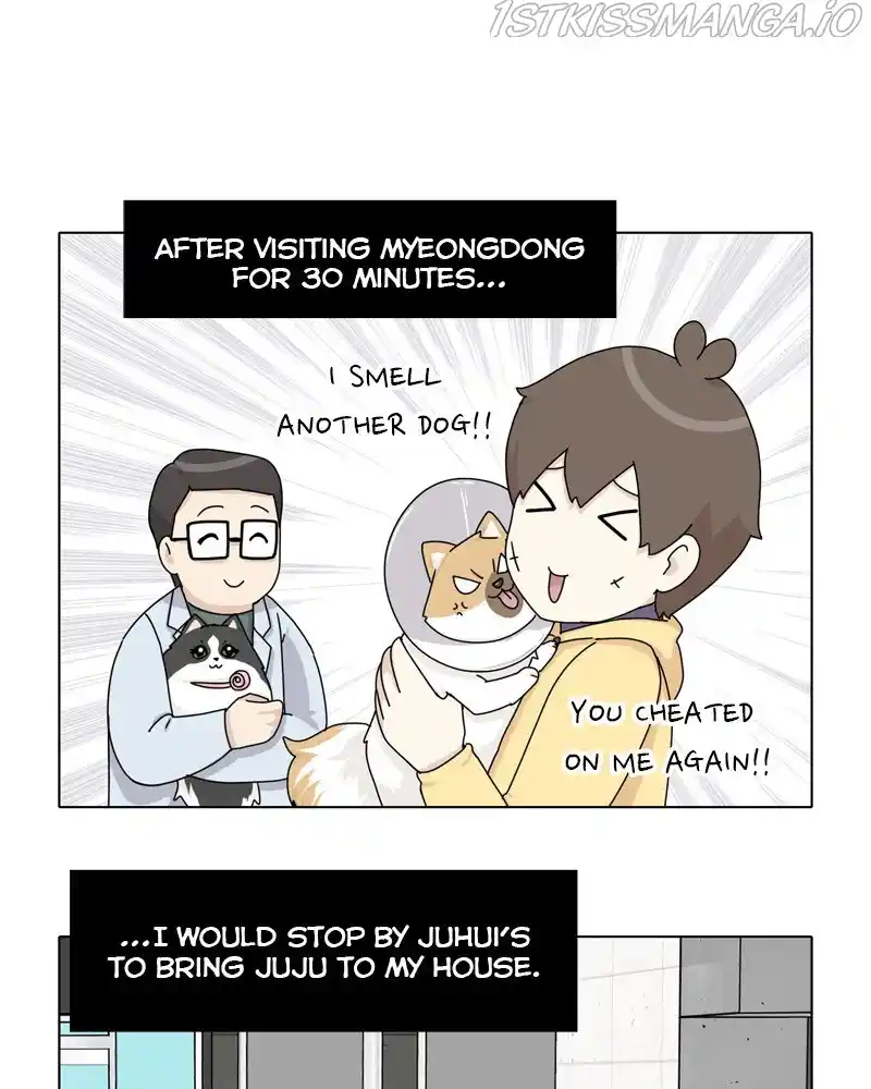The Dog Diaries Chapter 49