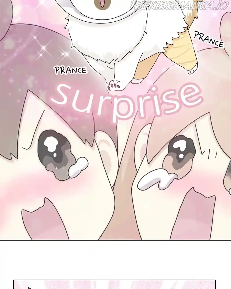 The Dog Diaries Chapter 49