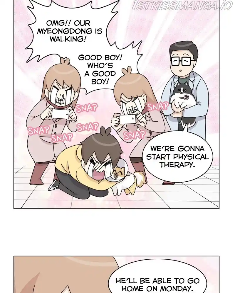 The Dog Diaries Chapter 49