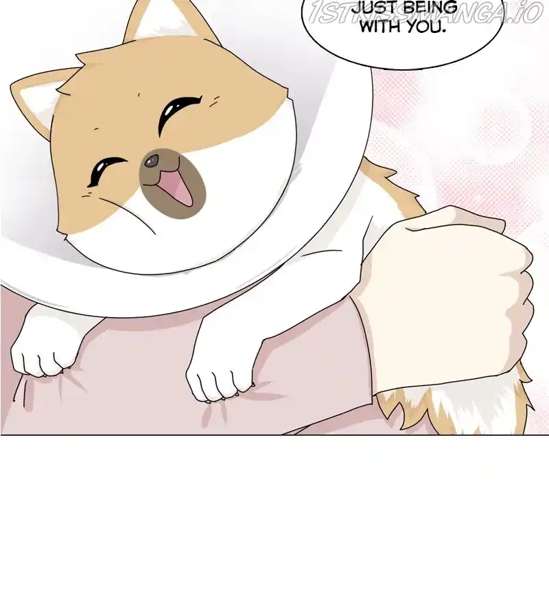 The Dog Diaries Chapter 49