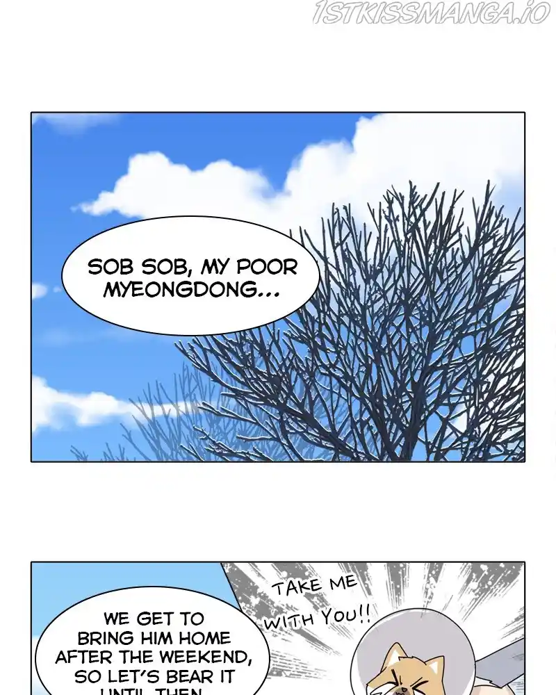 The Dog Diaries Chapter 49