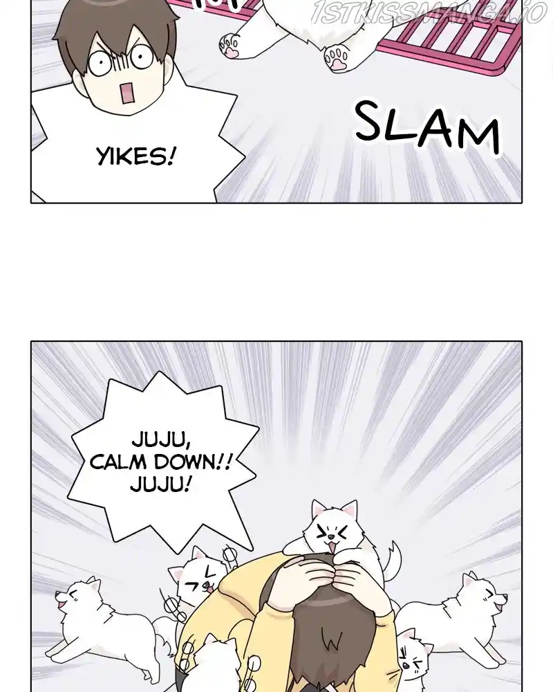 The Dog Diaries Chapter 49