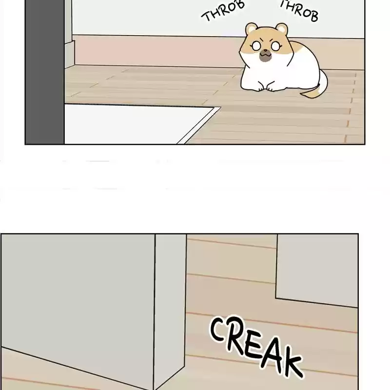 The Dog Diaries Chapter 5