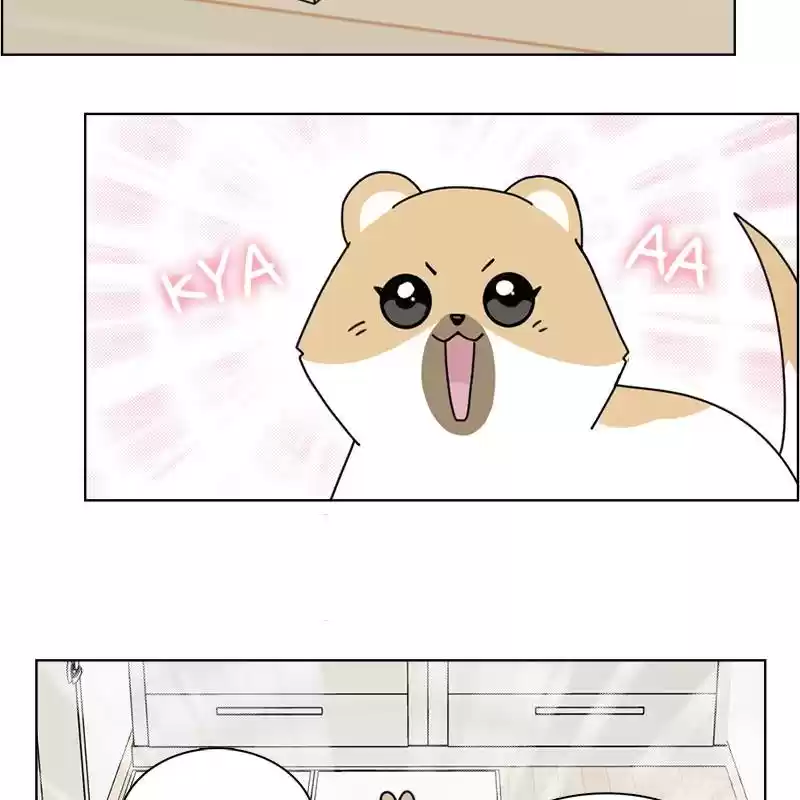 The Dog Diaries Chapter 5