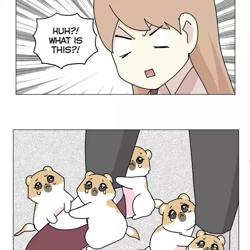 The Dog Diaries Chapter 5