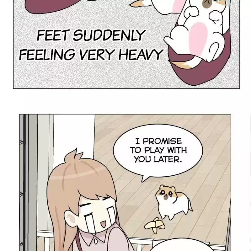 The Dog Diaries Chapter 5