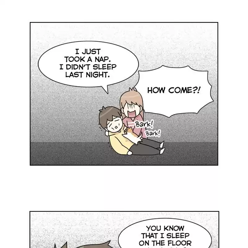 The Dog Diaries Chapter 5