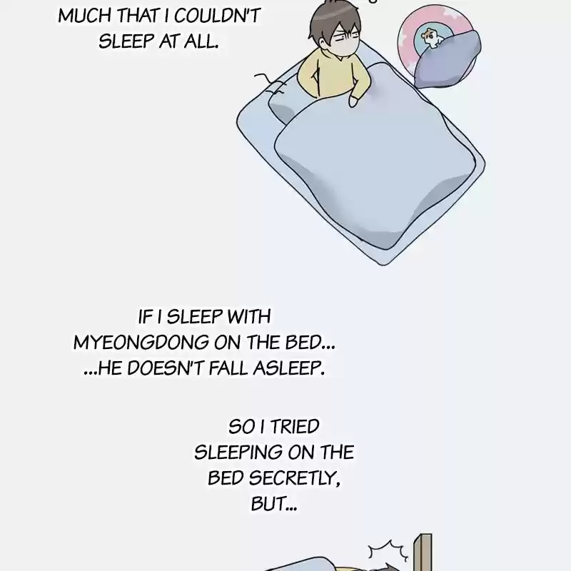 The Dog Diaries Chapter 5