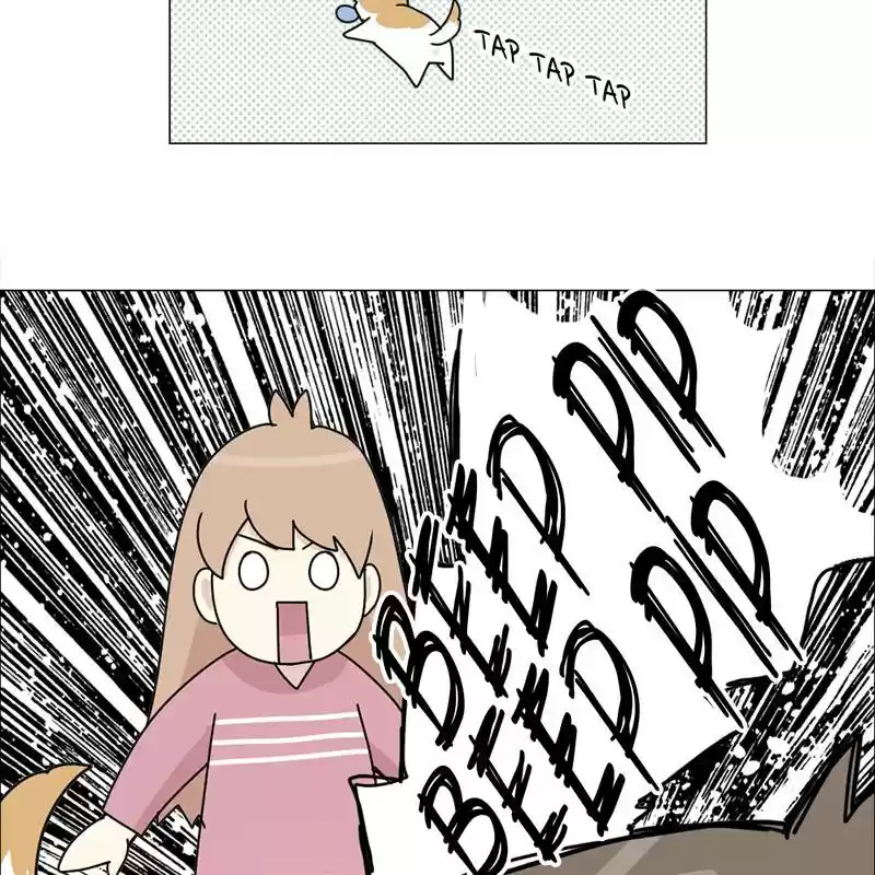 The Dog Diaries Chapter 5