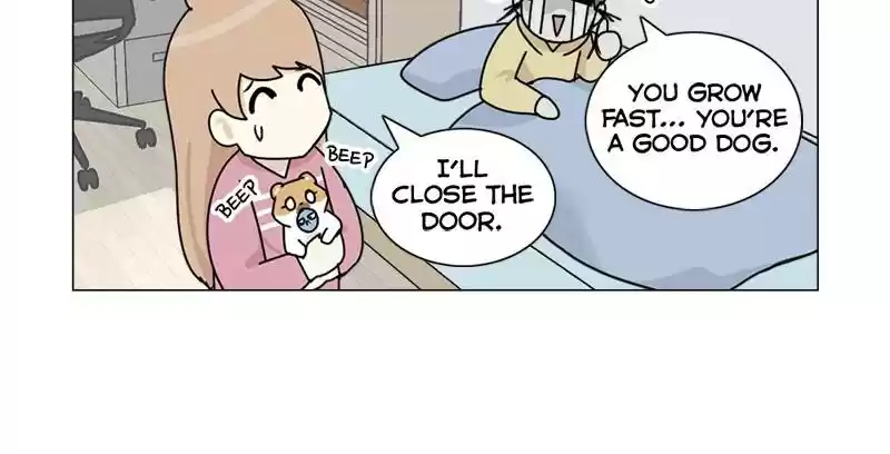 The Dog Diaries Chapter 5