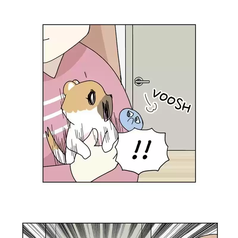 The Dog Diaries Chapter 5