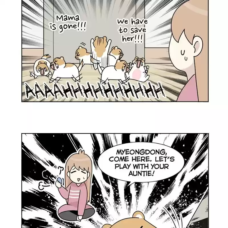 The Dog Diaries Chapter 5