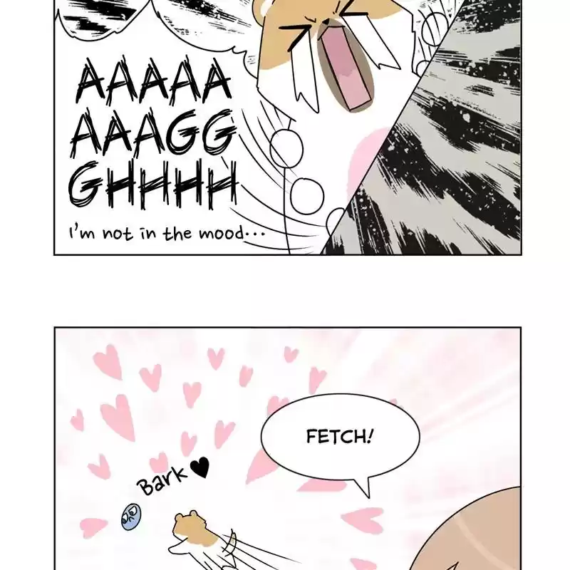 The Dog Diaries Chapter 5