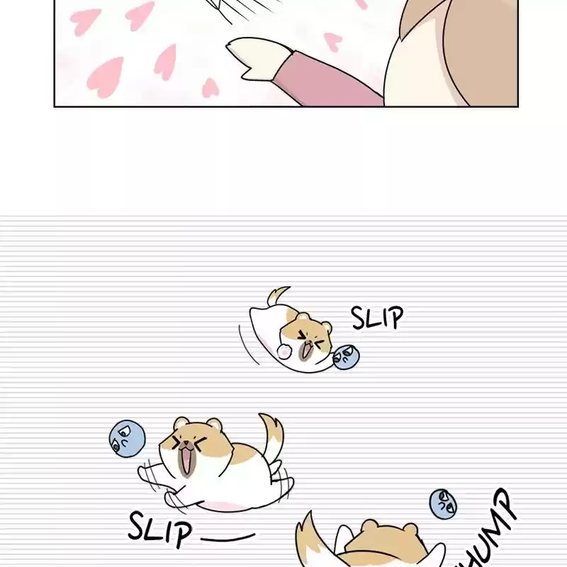 The Dog Diaries Chapter 5