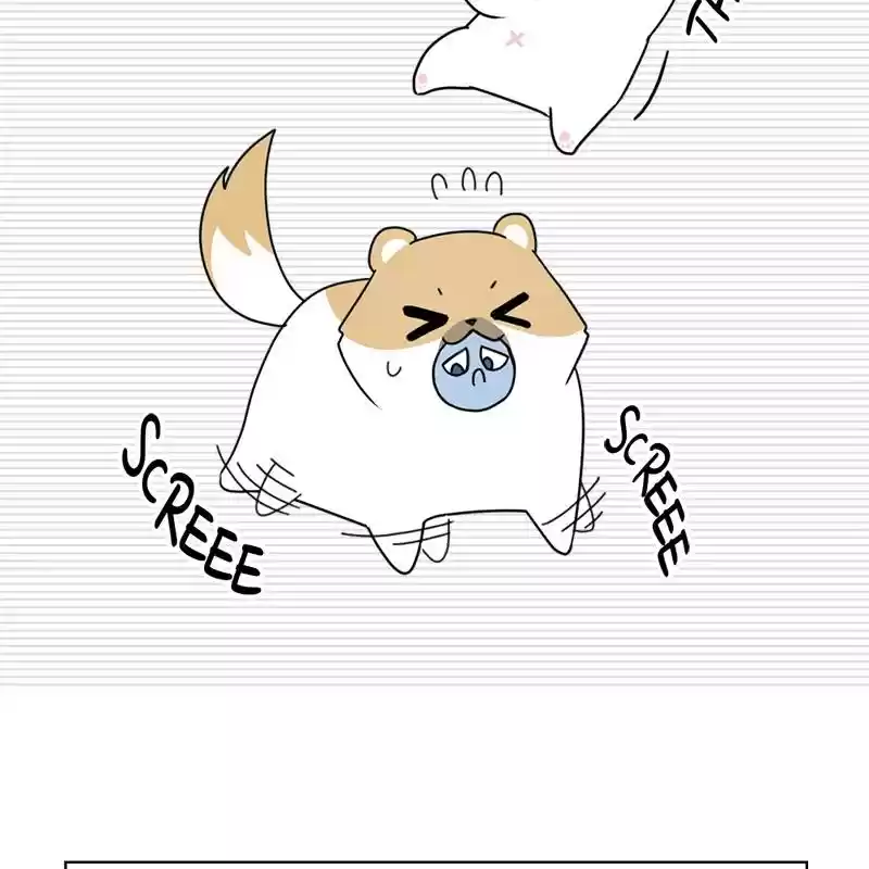 The Dog Diaries Chapter 5