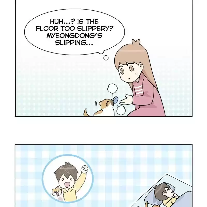 The Dog Diaries Chapter 5