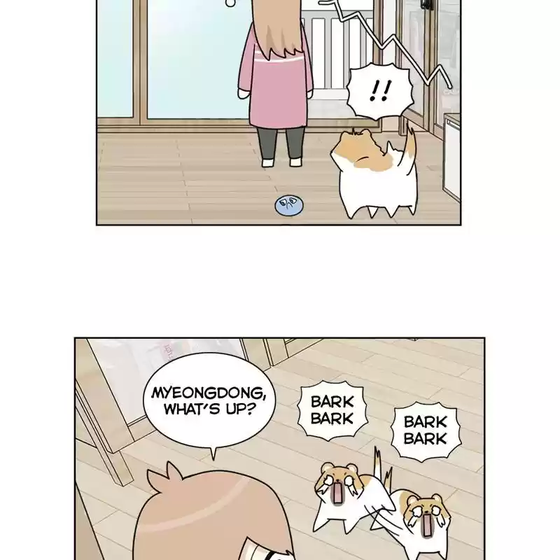 The Dog Diaries Chapter 5