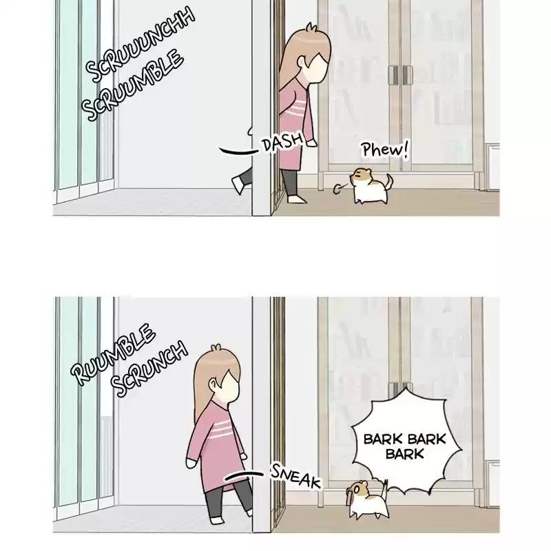 The Dog Diaries Chapter 5