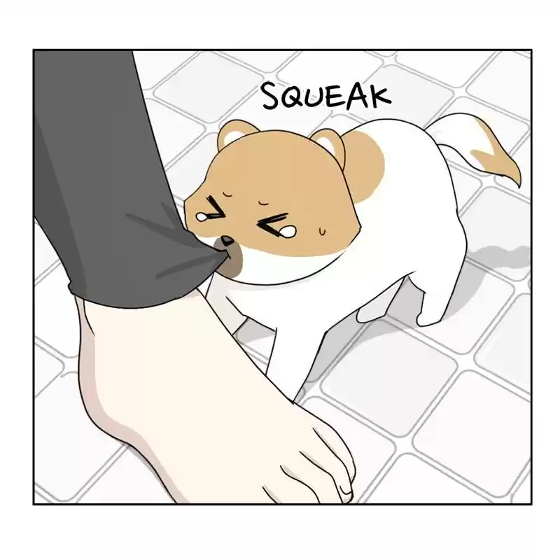 The Dog Diaries Chapter 5