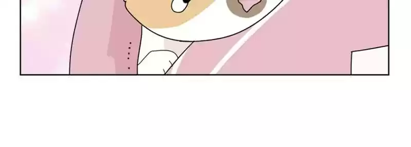 The Dog Diaries Chapter 5