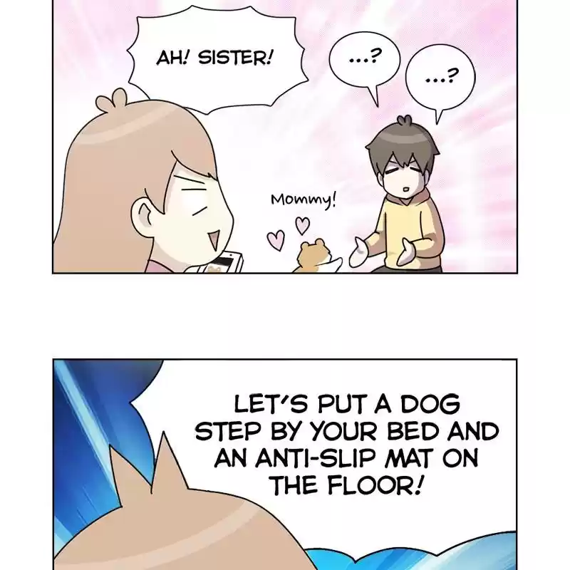 The Dog Diaries Chapter 5