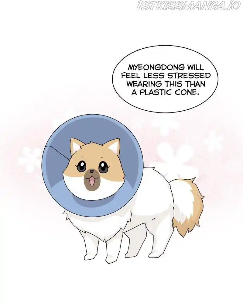 The Dog Diaries Chapter 50