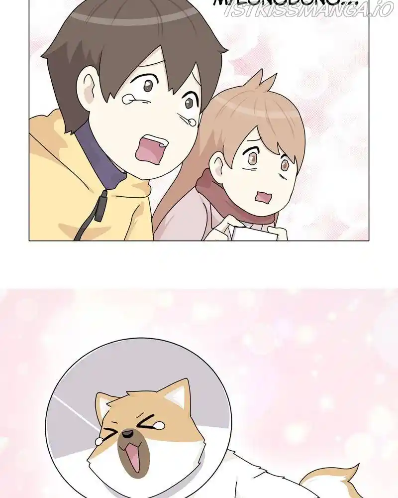 The Dog Diaries Chapter 50