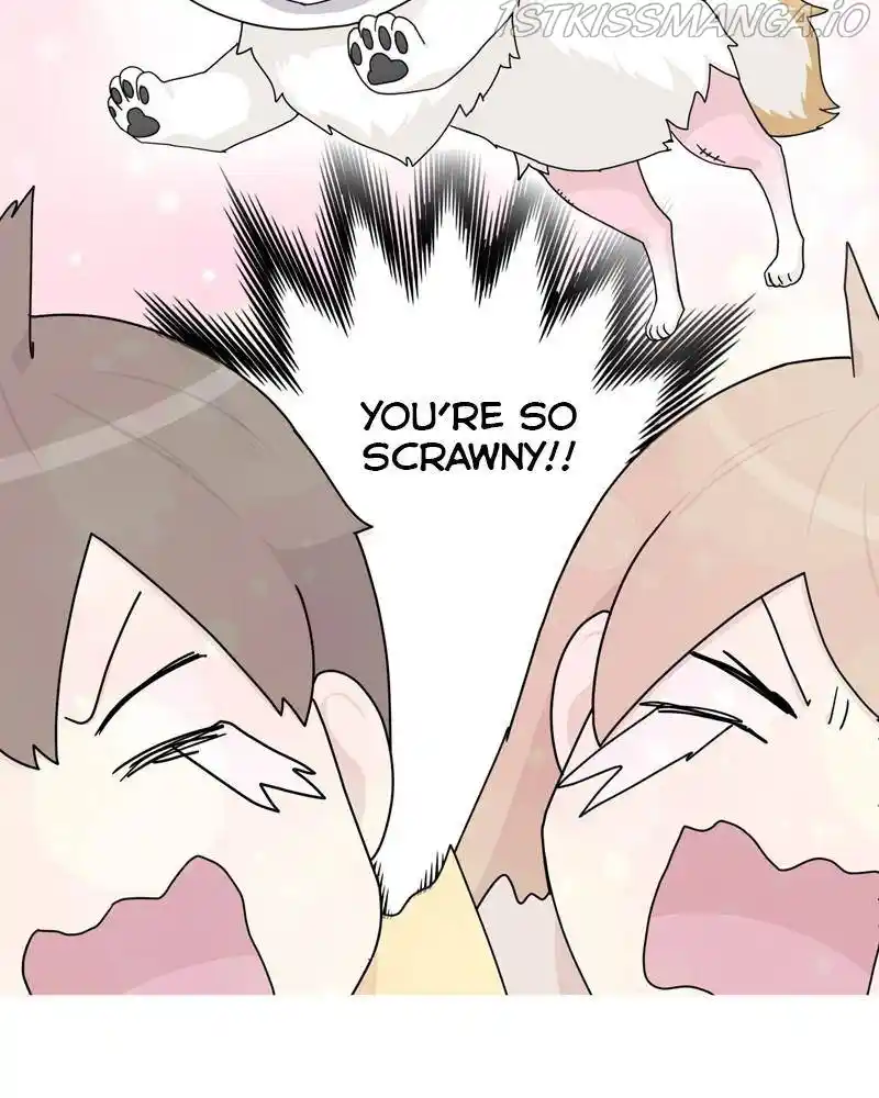 The Dog Diaries Chapter 50