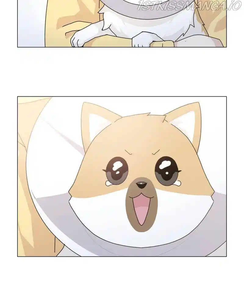 The Dog Diaries Chapter 50