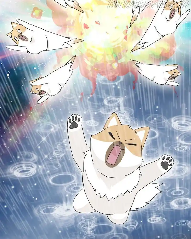 The Dog Diaries Chapter 50