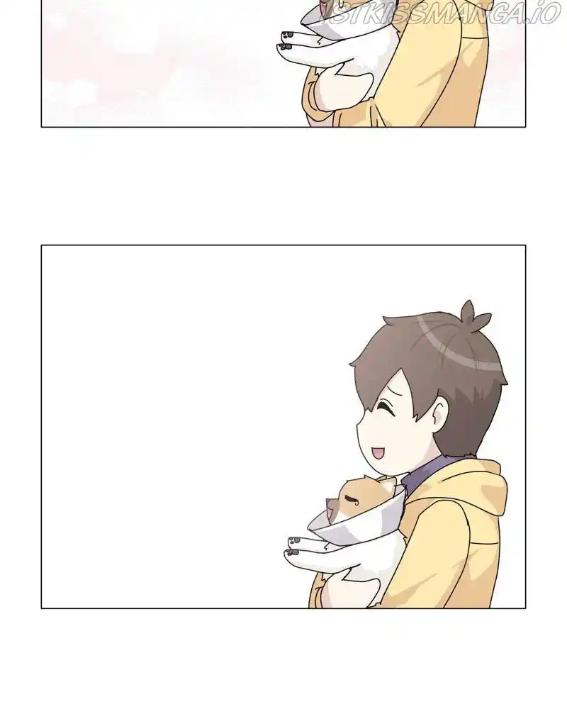 The Dog Diaries Chapter 50