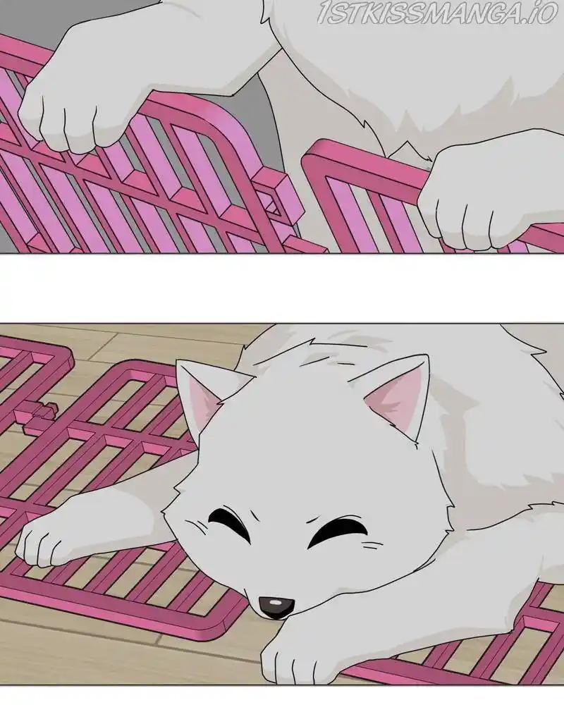 The Dog Diaries Chapter 50