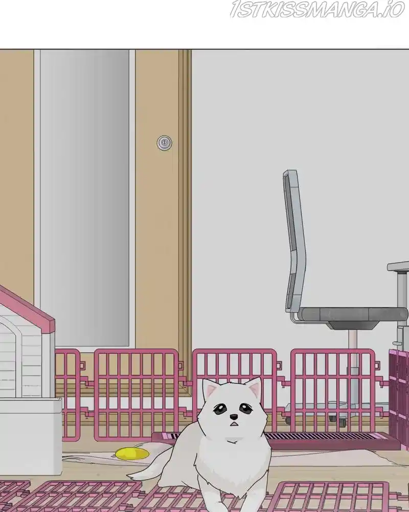 The Dog Diaries Chapter 50