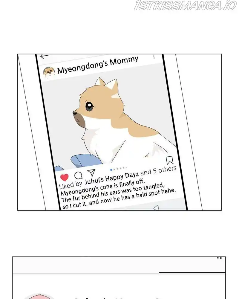 The Dog Diaries Chapter 50