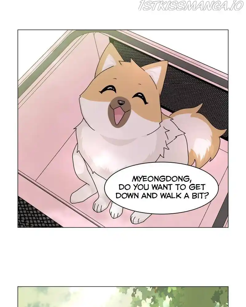 The Dog Diaries Chapter 50