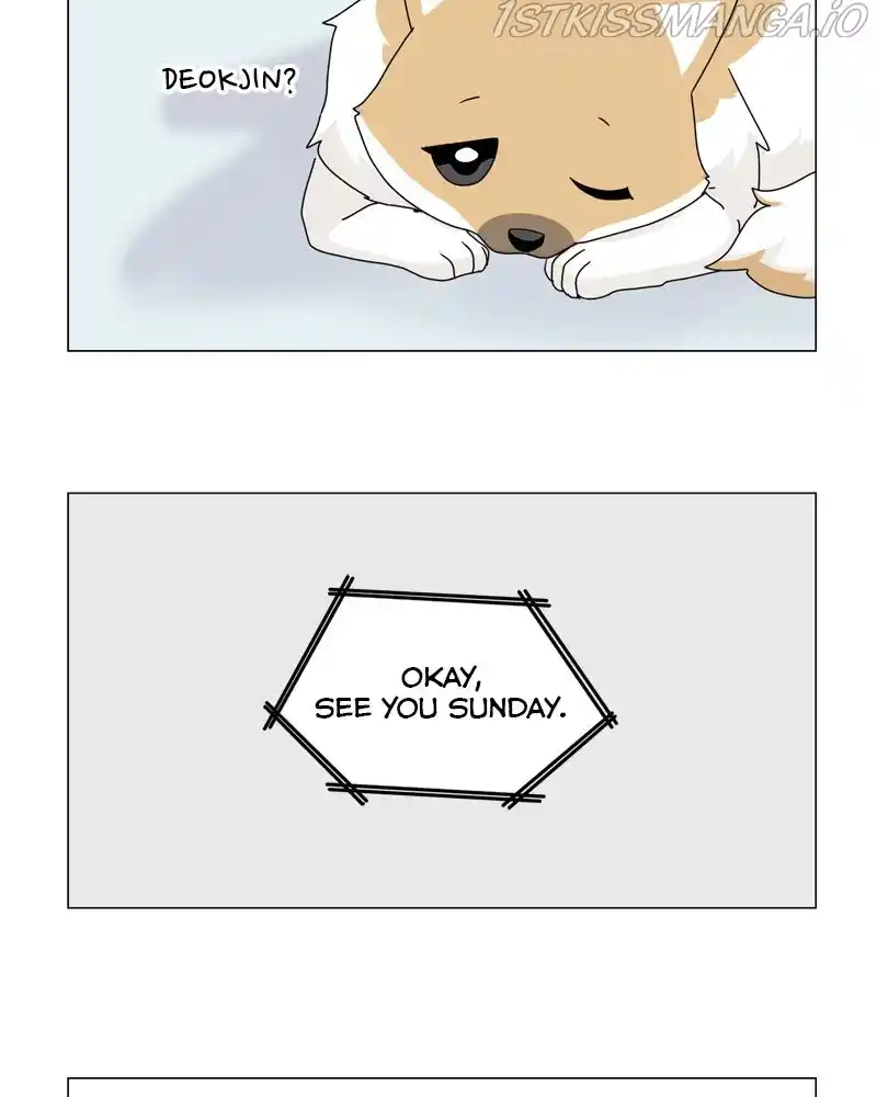 The Dog Diaries Chapter 51